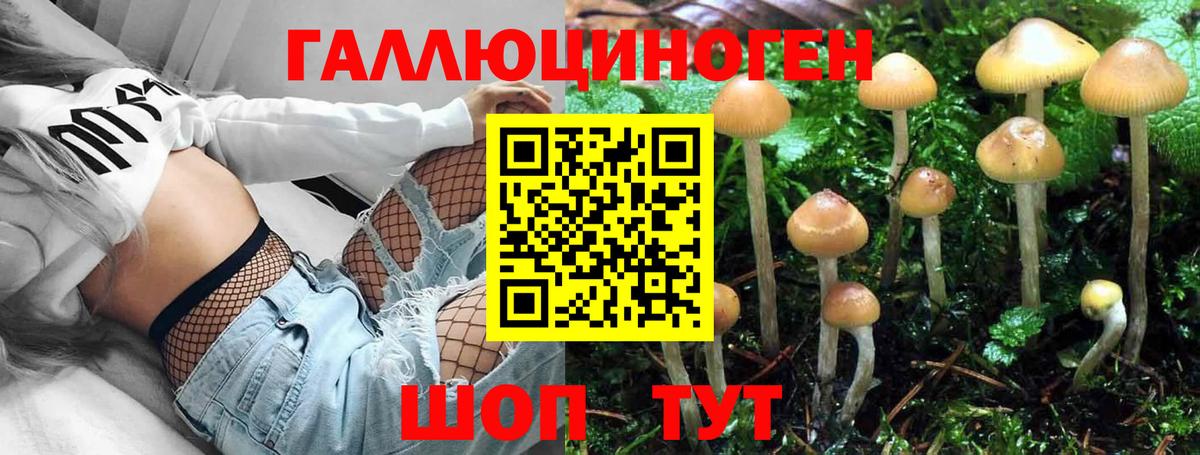 Галлюциногенные грибы ЛСД  Галлюциногенные грибы Psilocybe  Торжок  Вход с VPN 