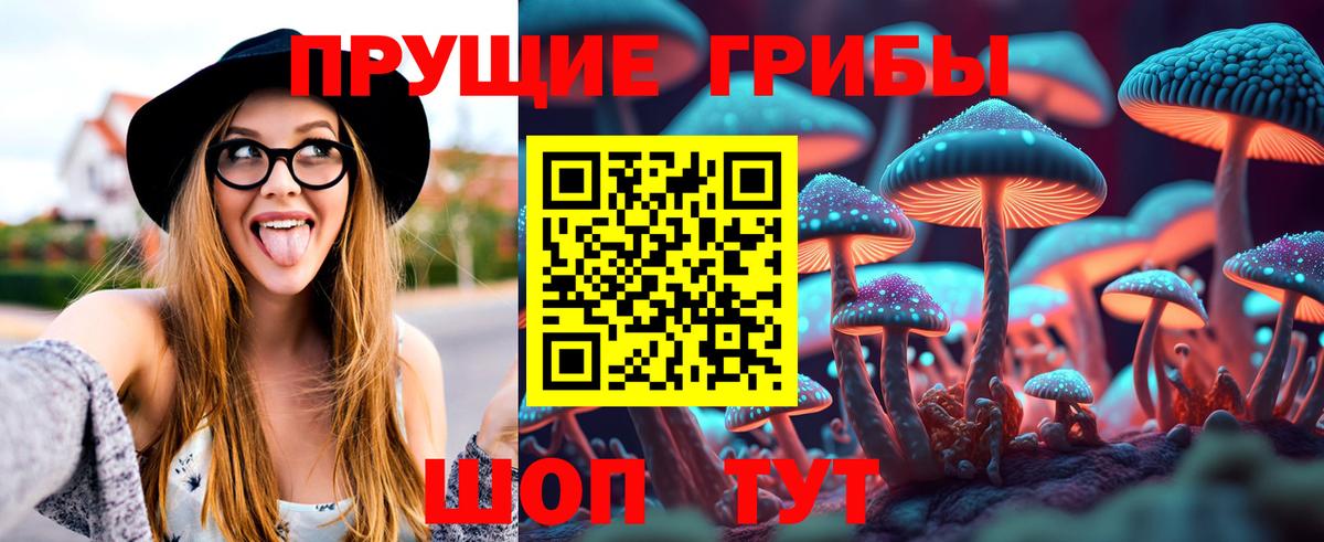 Галлюциногенные грибы мицелий Торжок